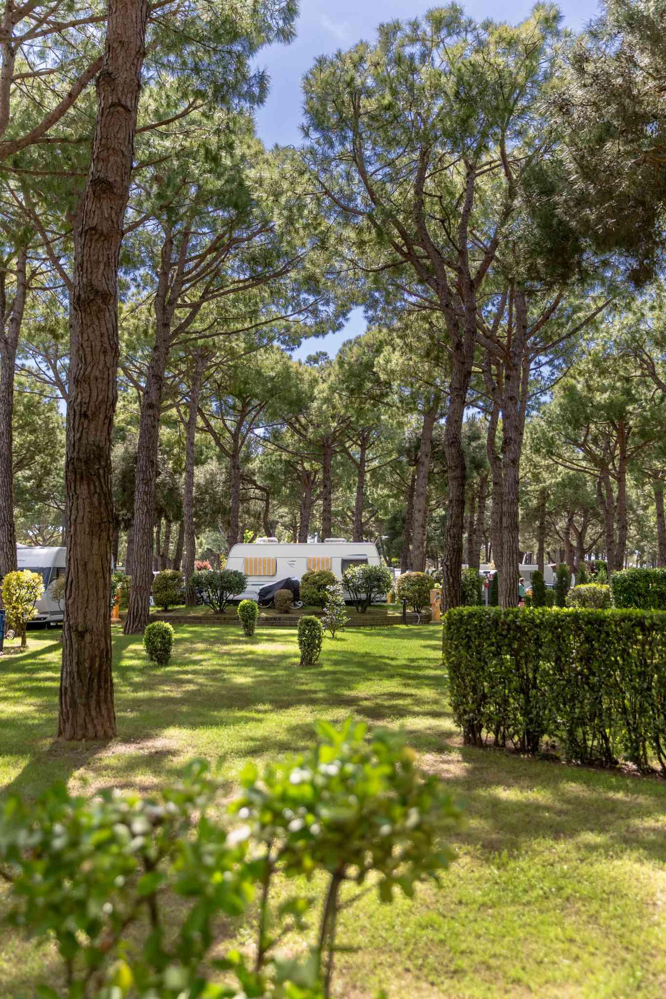 Strutture del camping Enzo Stella Maris